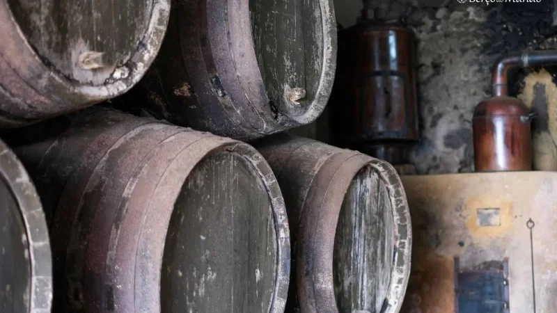 Museu do Vinho – foto 6