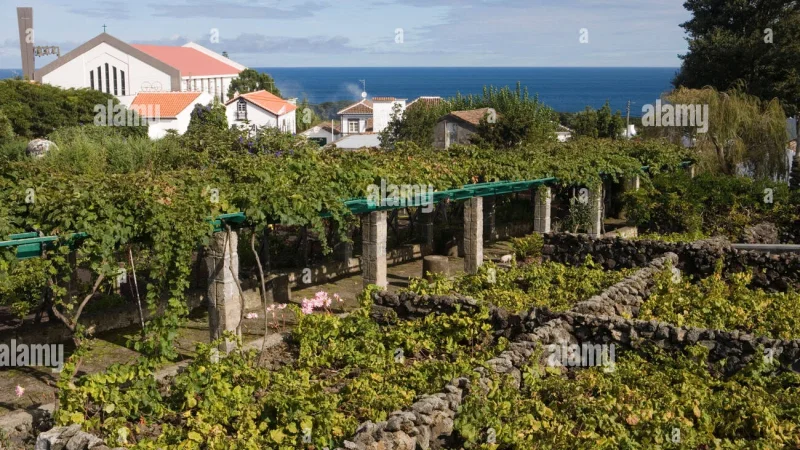 Museu do Vinho – foto 5