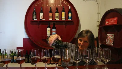 Museu do Vinho