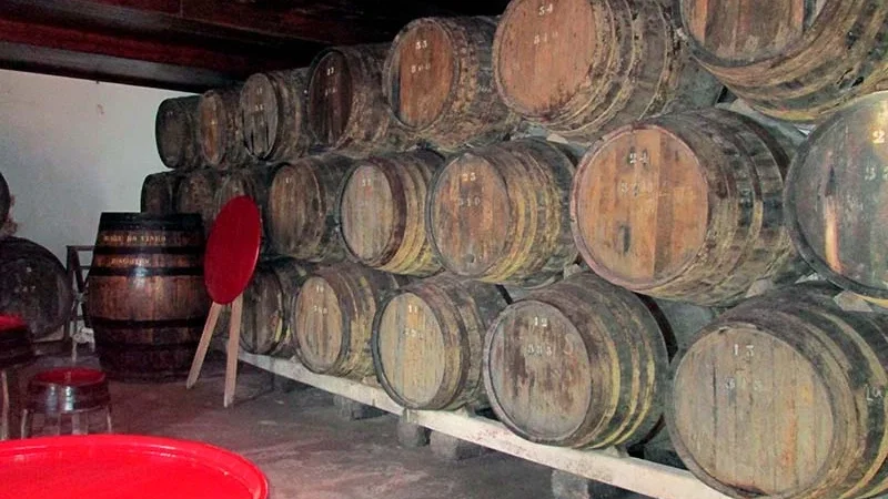Museu do Vinho – foto 8