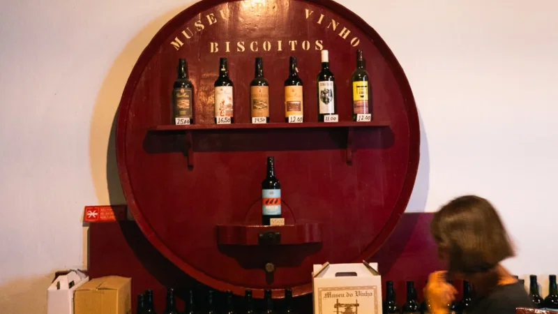 Museu do Vinho – foto 3