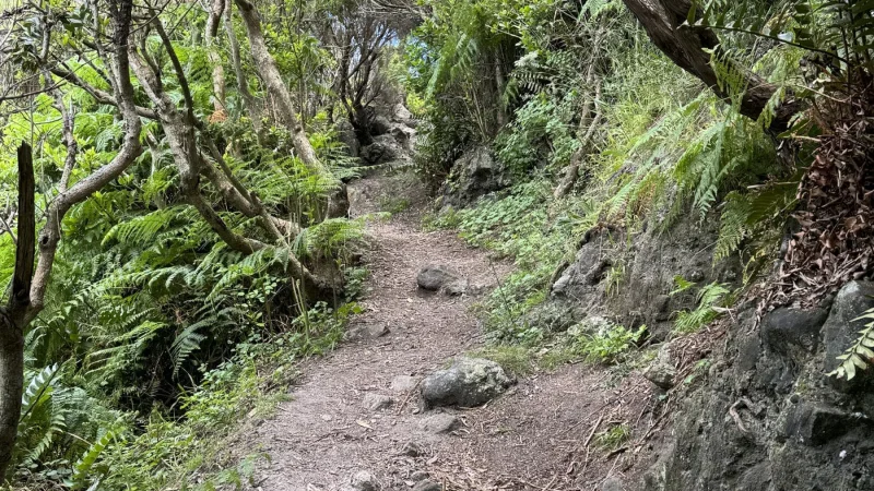 Percurso pedestre Baías da Agualva - PR2TER – foto 2