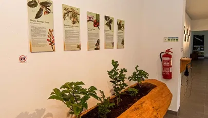 Casa do Parque de São Jorge