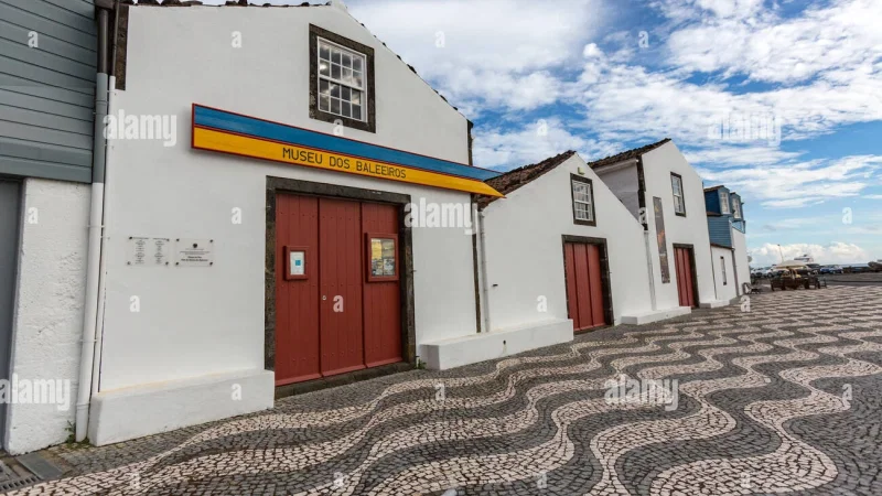 Museu dos Baleeiros – photo 7