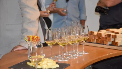 Cooperativa Vitivinicola Da Ilha Do Pico (CVIP) - Picowines, C.R.L.