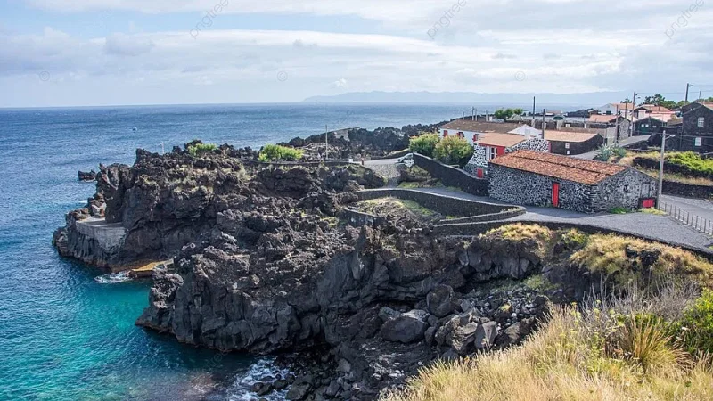 Cooperativa Vitivinicola Da Ilha Do Pico (CVIP) - Picowines, C.R.L. – photo 7