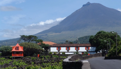 Museu do Vinho da Ilha do Pico