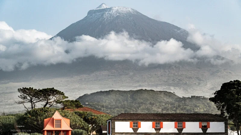 Museu do Vinho da Ilha do Pico – photo 2
