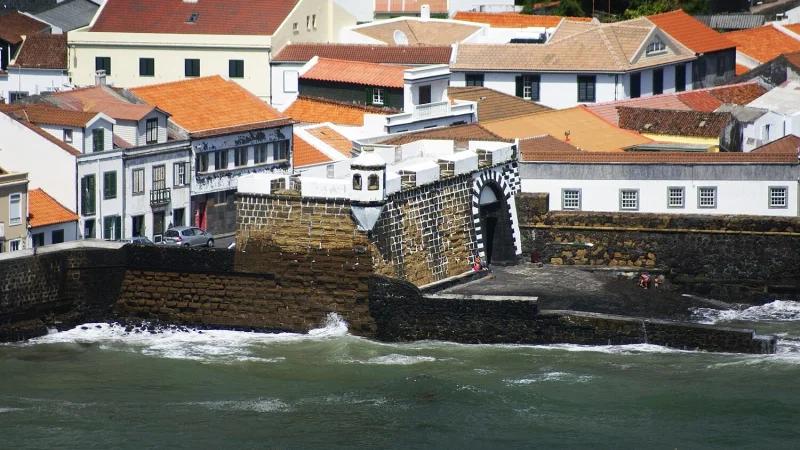 Estação de Peixes Vivos // Aquário do Porto Pim