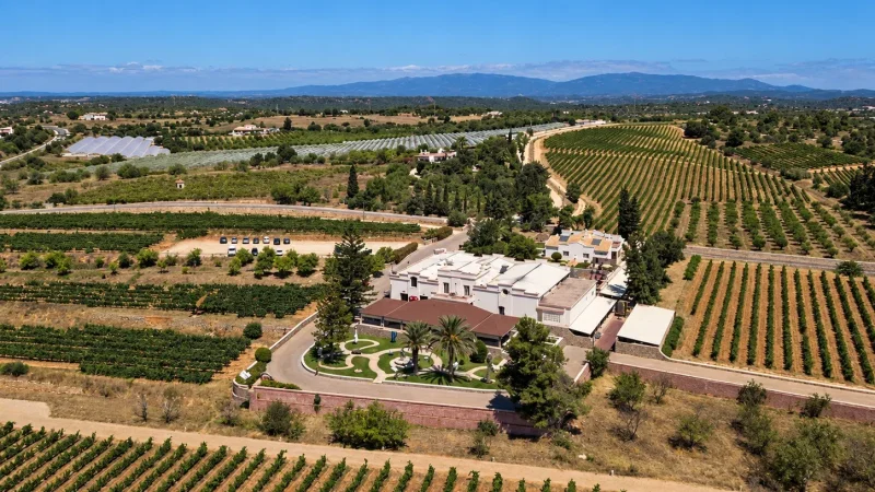 Quinta dos Vales – photo 7
