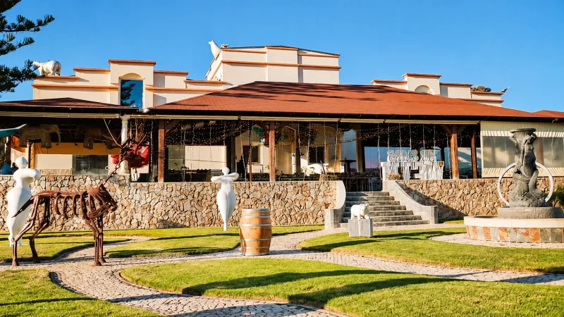 Quinta dos Vales – photo 4