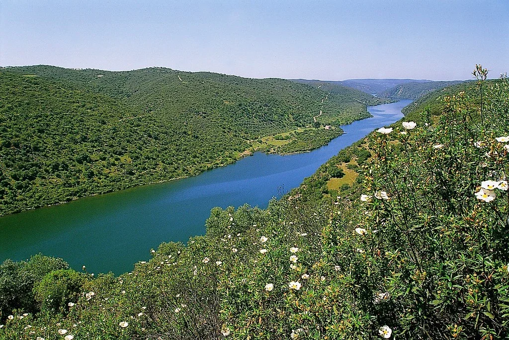 Natureza e atividades ao ar livre parque natural do tejo castelo branco — Distrito de Castelo Branco