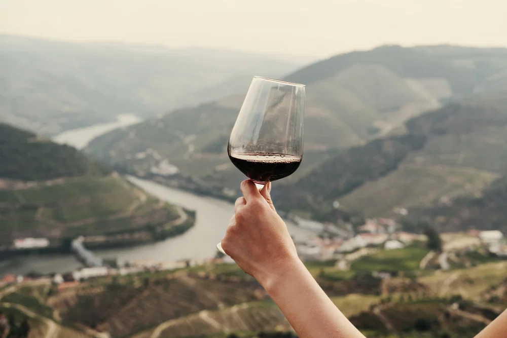 Dicas locais e curiosidades vinho do porto — Distrito do Porto