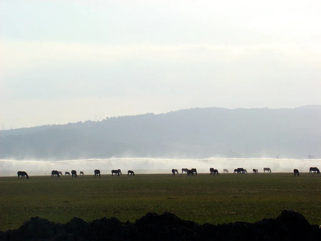 Natureza e atividades ao ar livre leziria ribatejana santarem — Distrito de Santarém