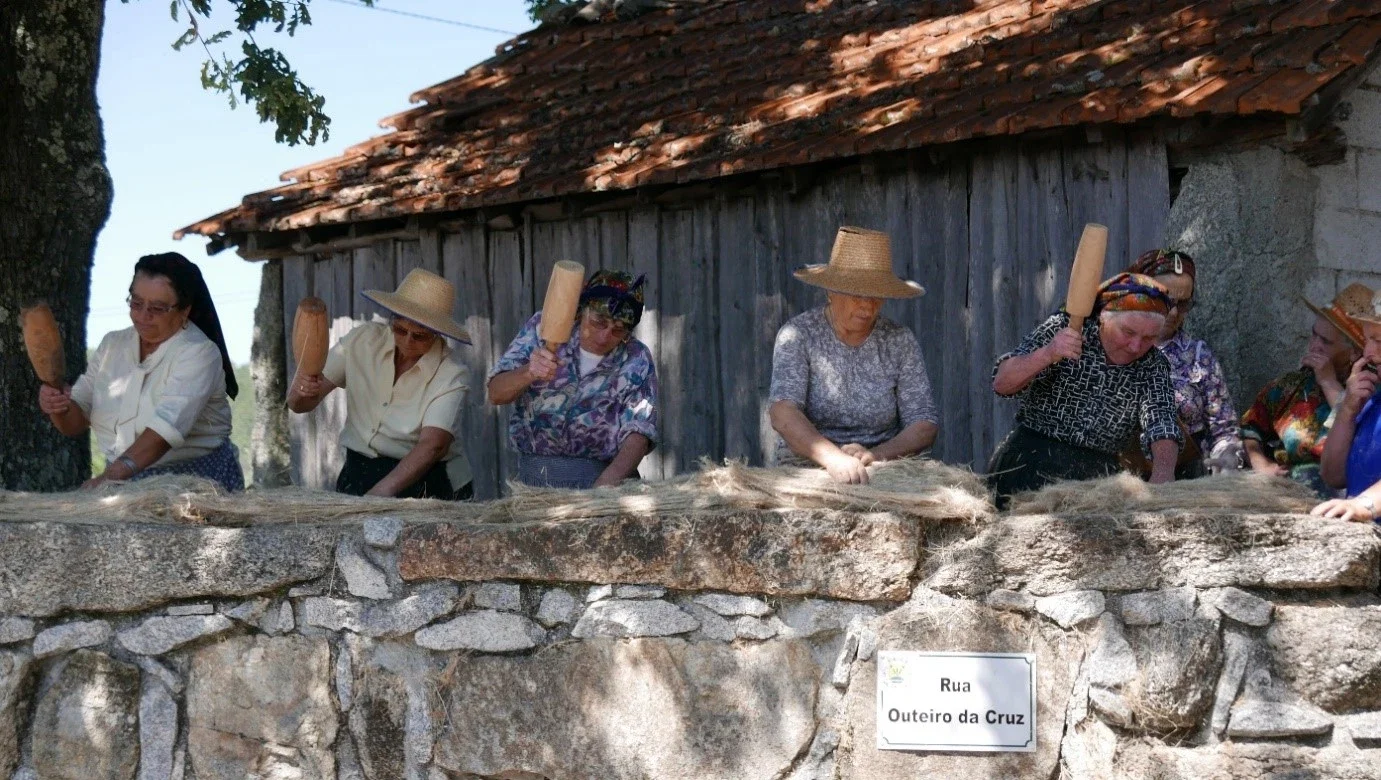Artesanato e produtos regionais de viseu — Distrito de Viseu