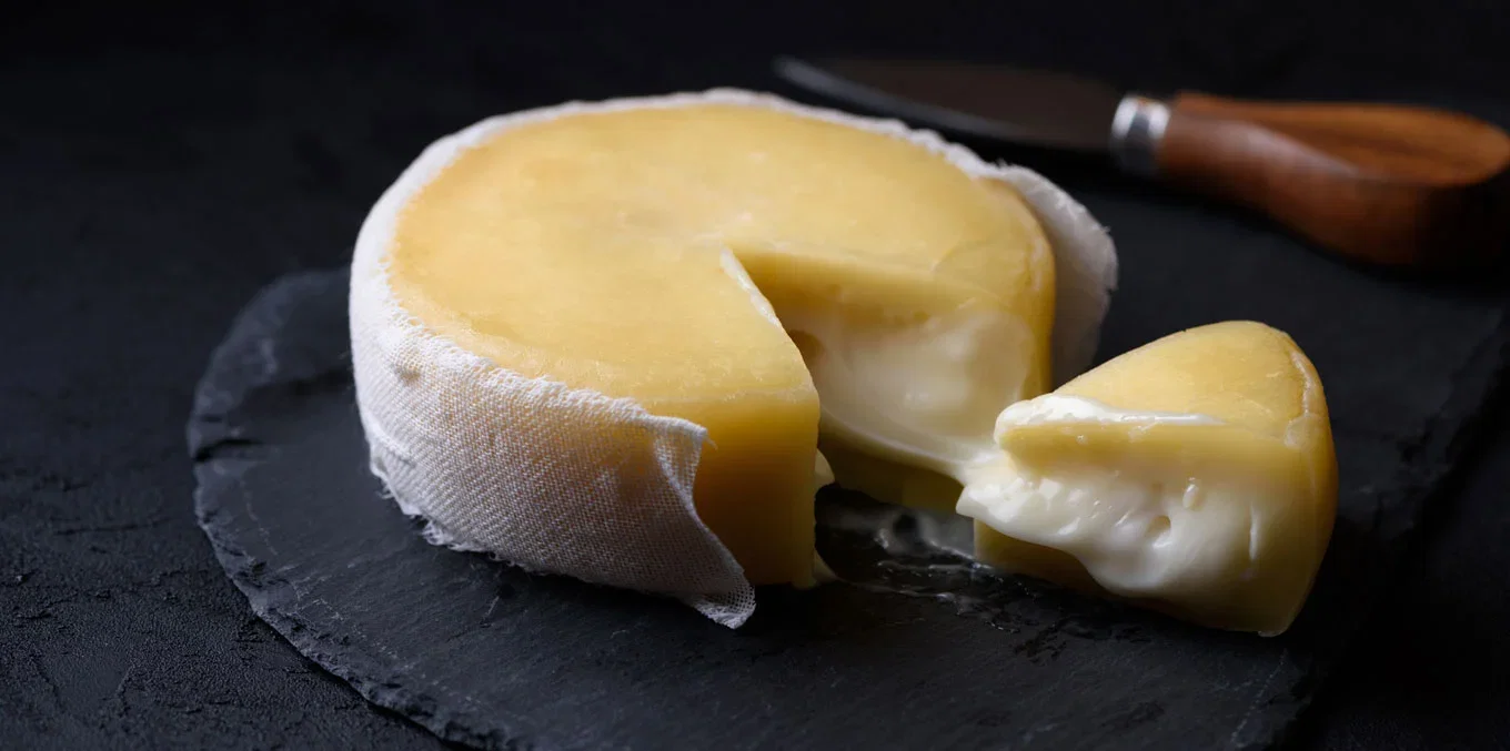 Gastronomia queijo alentejano região alentejo — Alentejo