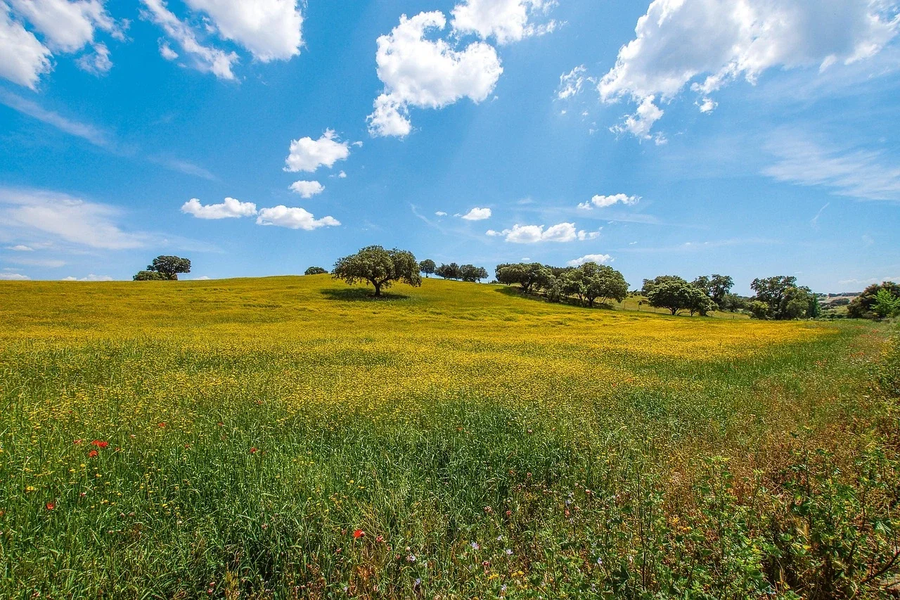 Natureza e atividades ao ar livre monte região alentejo — Alentejo