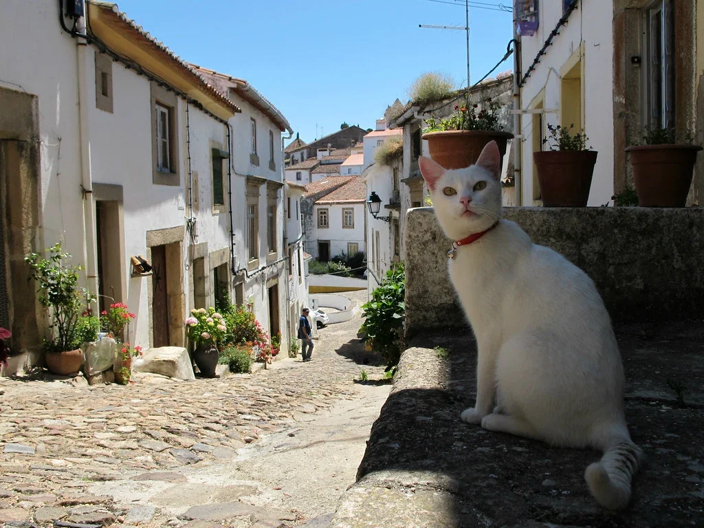 Distrito de Portalegre na região Alentejo