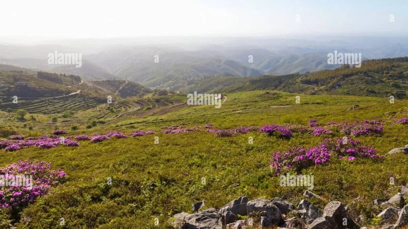 Serra de Monchique – photo 4