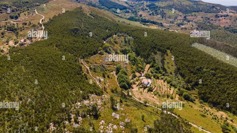 Serra de Monchique – photo 5