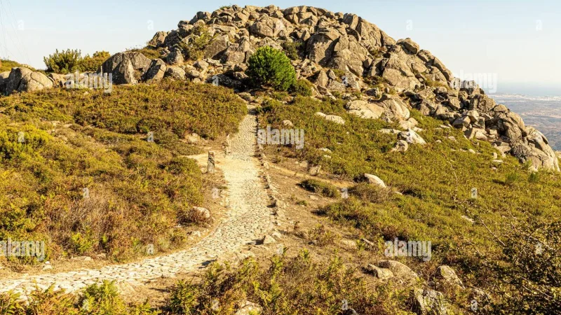 Serra de Monchique – photo 6