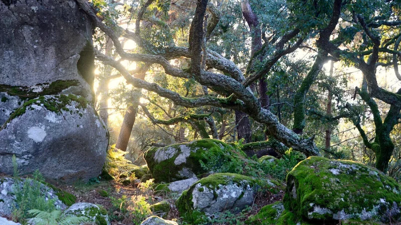 Serra de Monchique – photo 2
