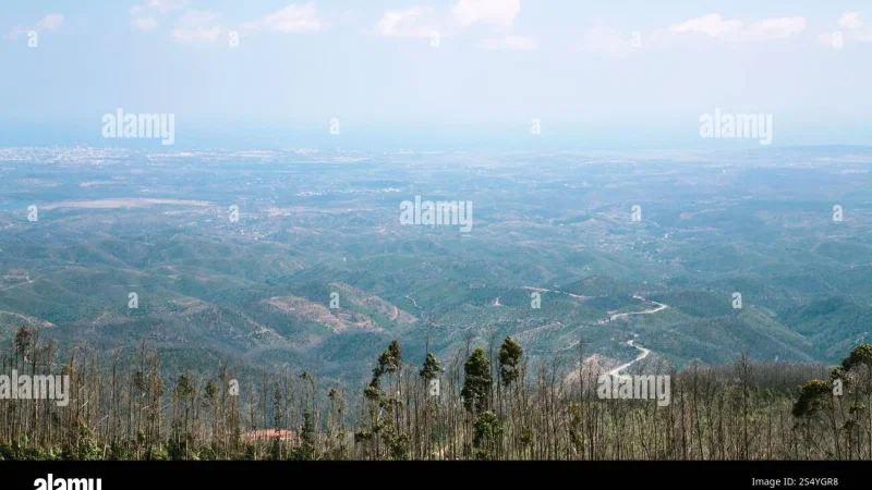 Serra de Monchique – photo 3