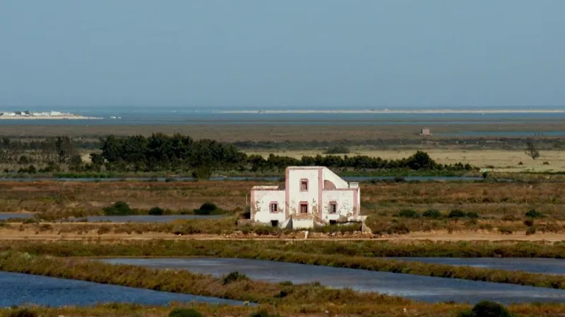 Foto do Ponto de Interesse Parque Natural da Ria Formosa