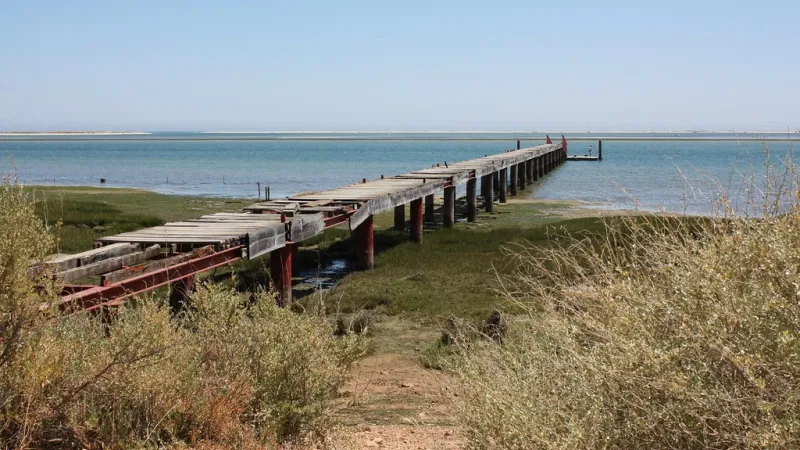 Foto do Ponto de Interesse Parque Natural da Ria Formosa