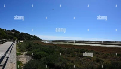 Parque Natural da Ria Formosa