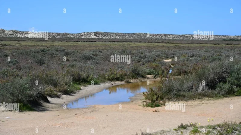 Parque Natural da Ria Formosa – photo 2