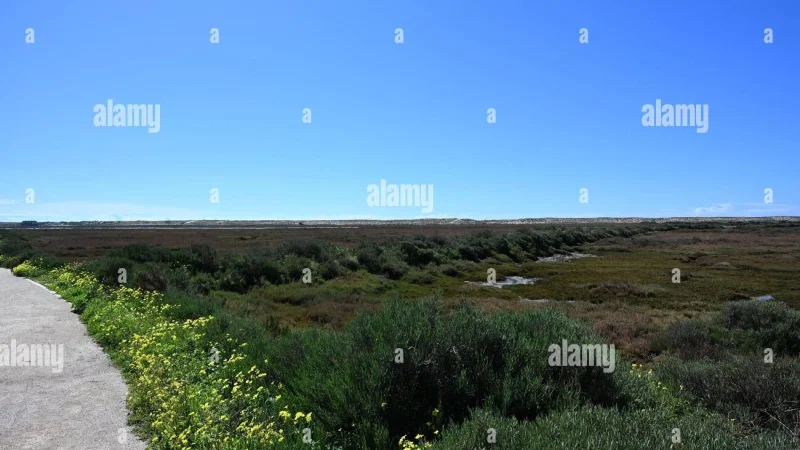 Parque Natural da Ria Formosa – photo 3