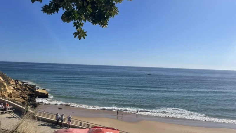 Praia do Amado – photo 7