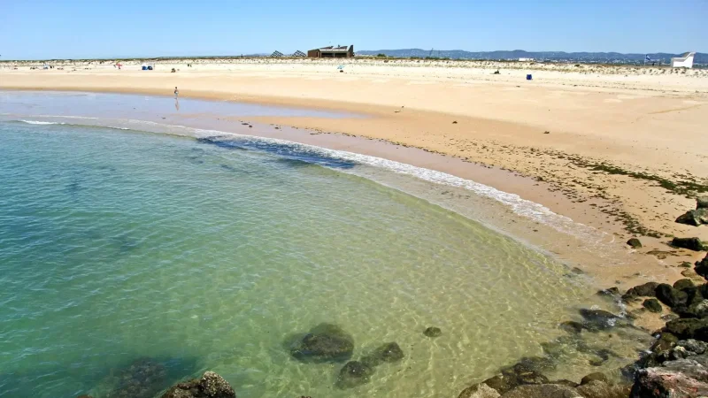 Ilha Deserta (Barreta) – photo 6