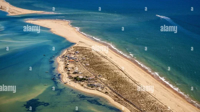 Ilha Deserta (Barreta) – photo 9