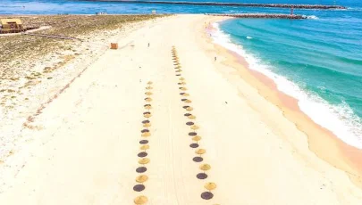 Imagem de Ilha Deserta (Barreta)