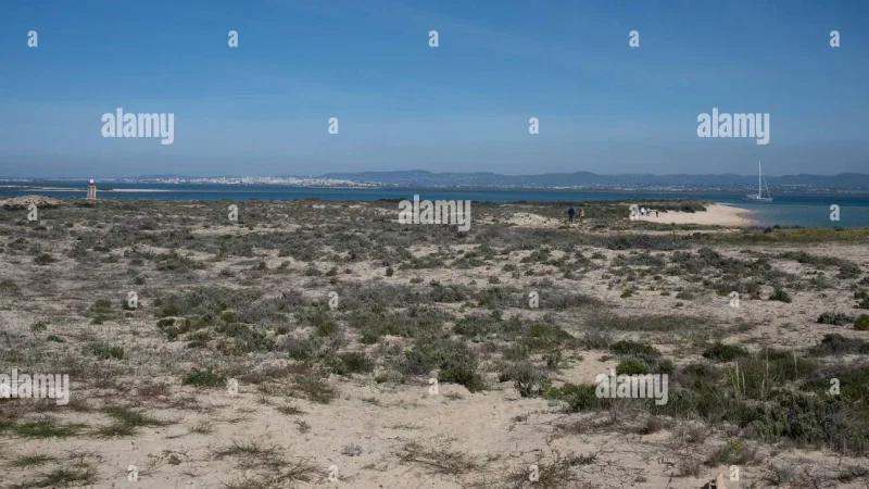 Ilha Deserta (Barreta) – photo 10