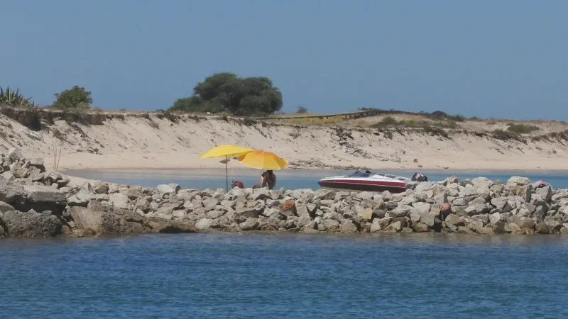 Ilha Deserta (Barreta) – photo 2
