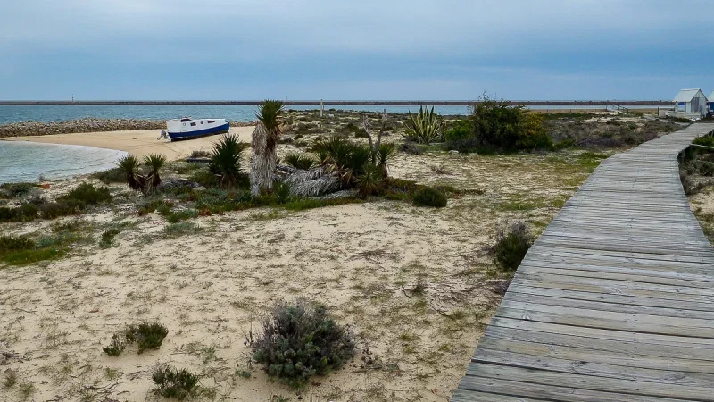 Ilha Deserta (Barreta) – photo 4