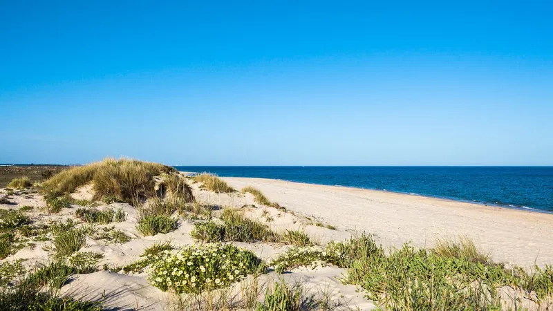 Foto do Ponto de Interesse Ilha de Tavira