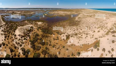 Ilha de Tavira