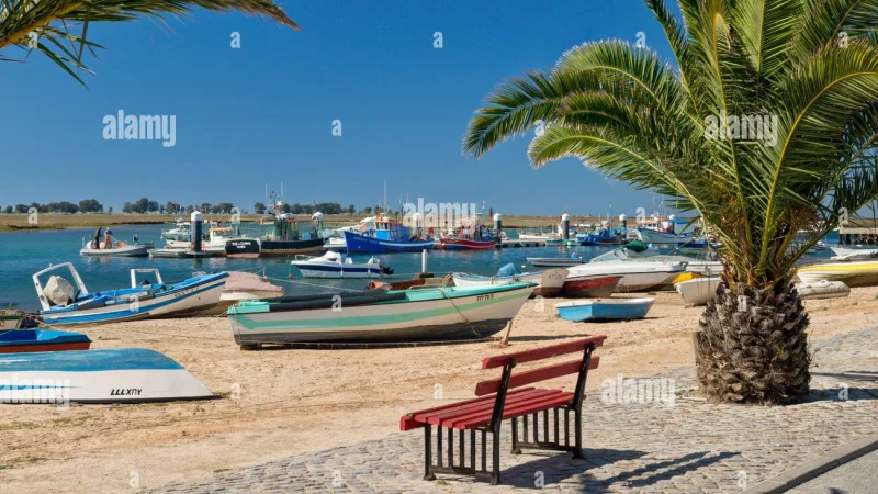 Ilha de Tavira – photo 4