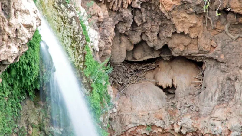 Foto do Ponto de Interesse Cascata Pego do Inferno