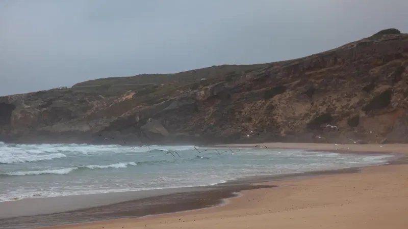 Foto do Ponto de Interesse Praia de Monte Clérigo