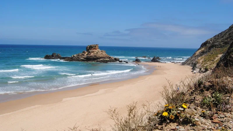 Praia da Águia – photo 7