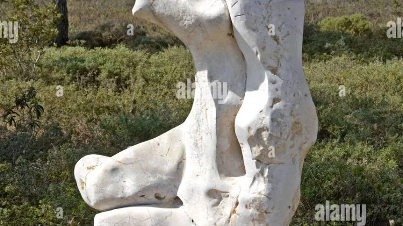 Torre da Aspa – photo 7
