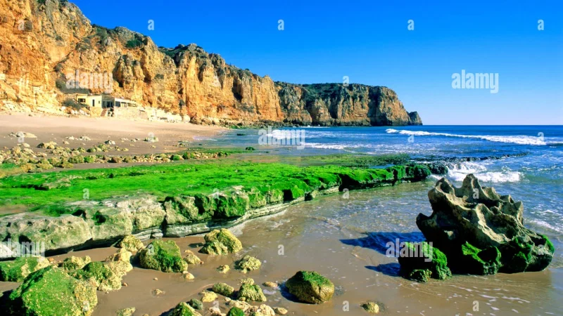 Praia de Porto de Mós – photo 9