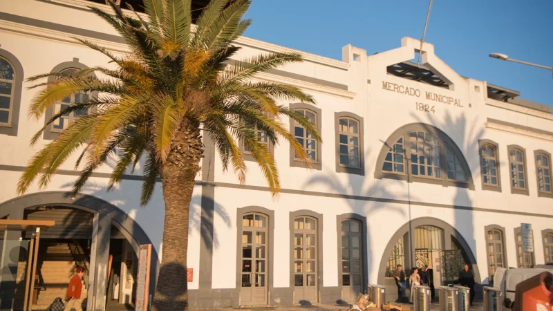Mercado Municipal de Lagos – photo 8