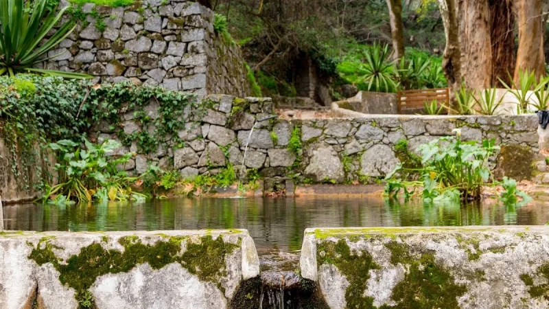 Fonte dos Amores – photo 3