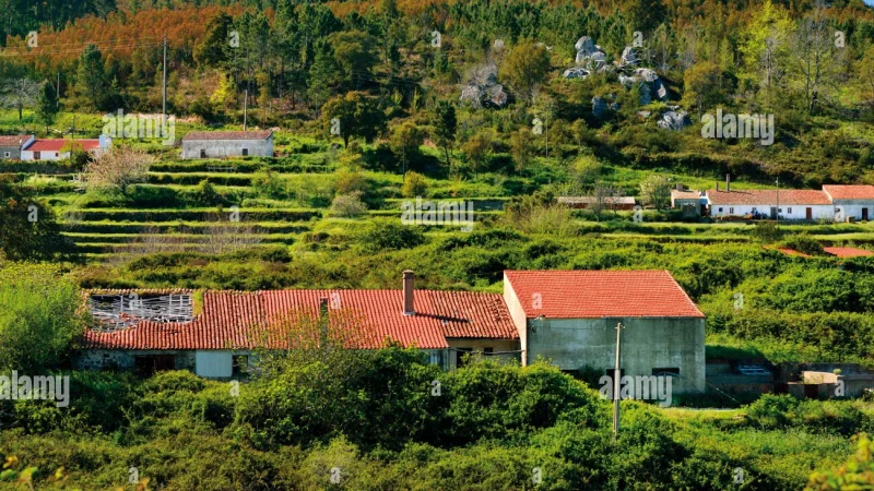 Fóia, Monchique – photo 5